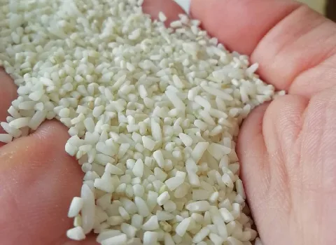 قیمت خرید برنج شکسته درشت مسعود فریدونکنار با فروش عمده